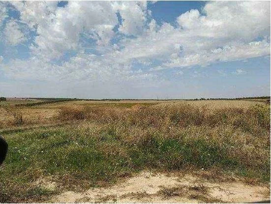 551