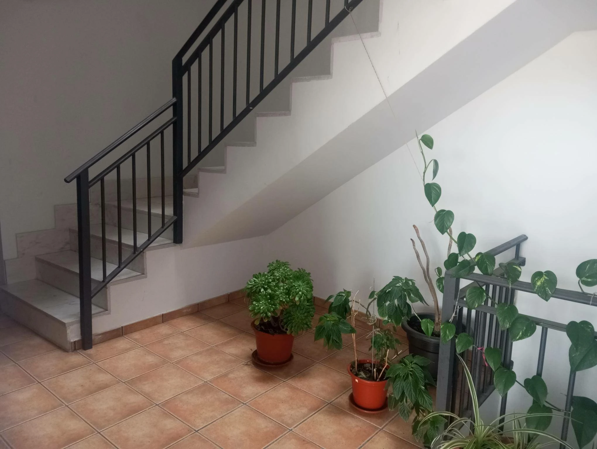 Piso en Mojados – Ref. 06874